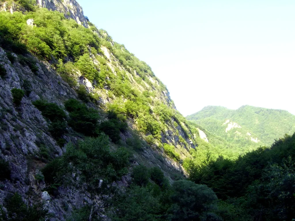 Forested mountain slopes in the Quba district of northern Azerbaijan